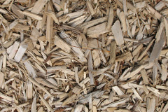 biomass boilers Brindister